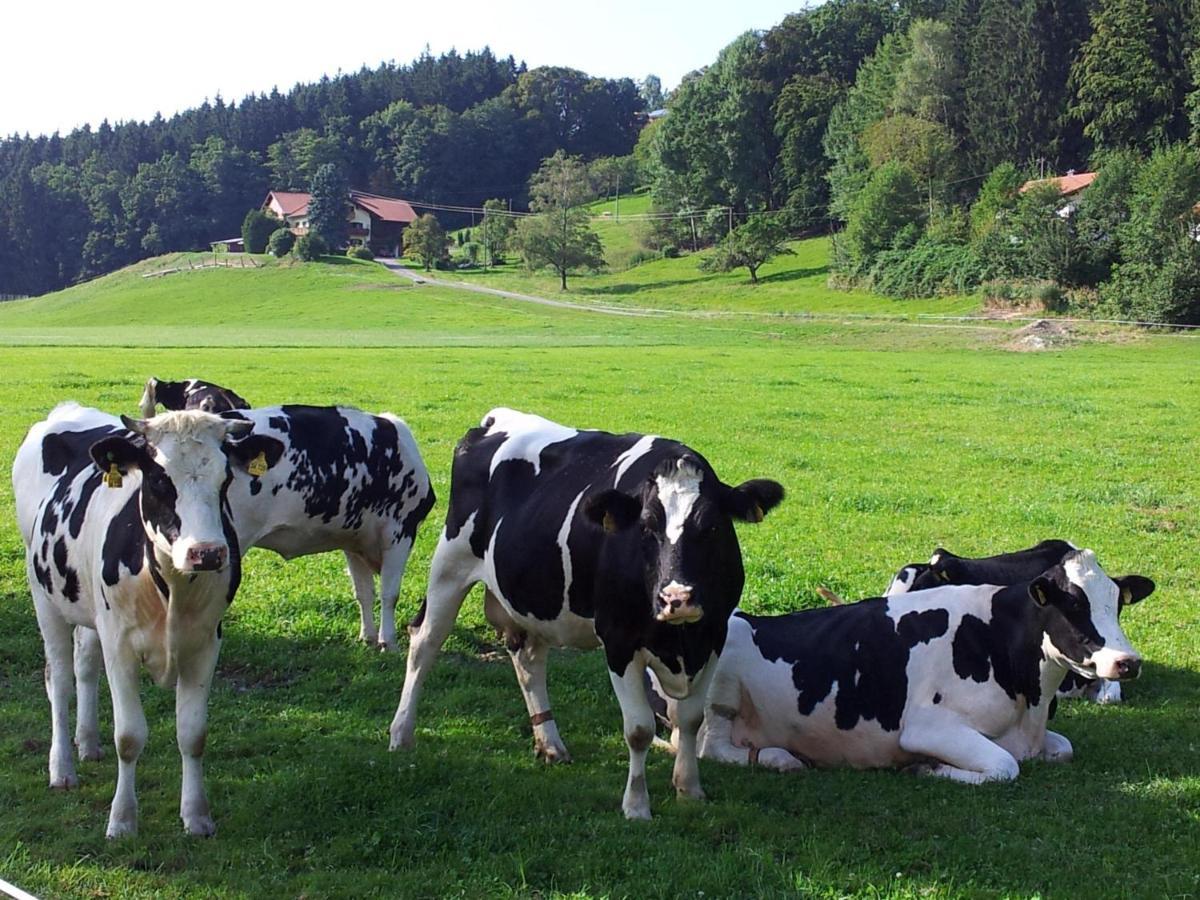 Zwischen Chiemsee Und Bergen Dg 베르나우암히엠지 외부 사진
